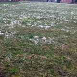 雪