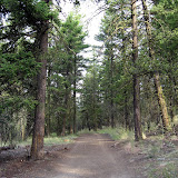 July 20 007.jpg
