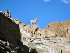 IMG_2116.JPG