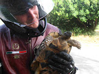SARDEGNA 2010 013-c.JPG