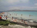 SARDEGNA 2010 083.jpg