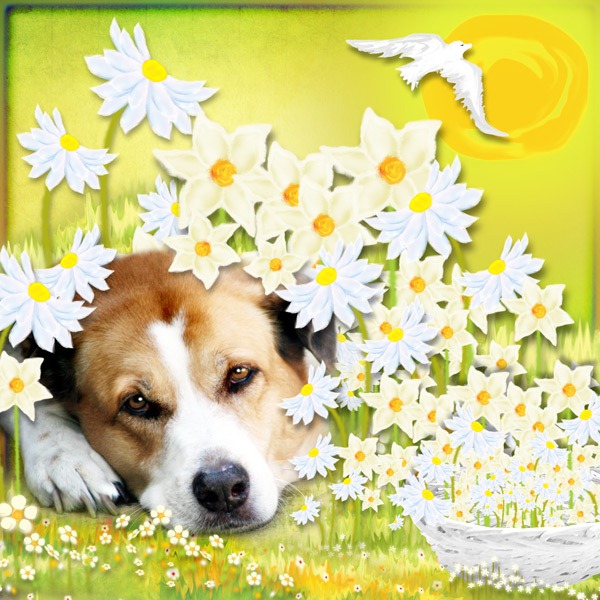 digital scrapbooking freebies   Happy Cat, Sales, Tips, Coupon, and Freebie