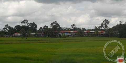Rumah Panjang Rumah Panjang 1