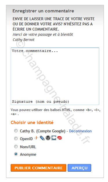 laisser-ecrire-commentaire-blog-blogger