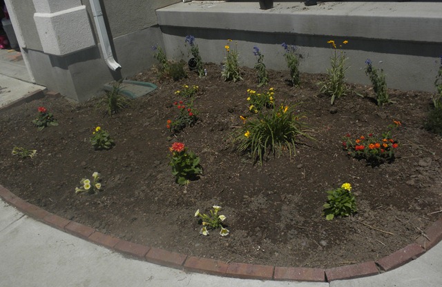 [Summer 2010 004.jpg]