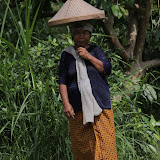 IMG_9978.JPG