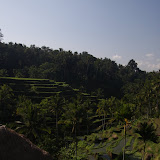IMG_9741.JPG