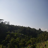 IMG_9760.JPG