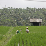 IMG_9889.JPG