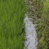 IMG_9897.JPG