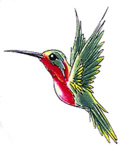 rose tattoo drawings rose tattoo drawings