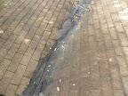 DSCN6011 (2).jpg
