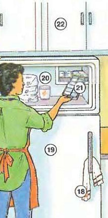 18. dish towel 19. refrigerator 20. freezer 21. ice tray 22. cabinet