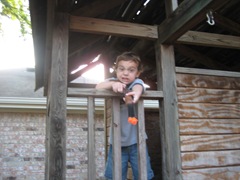 life pics 064