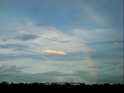 IMG_9238 IMG_9238