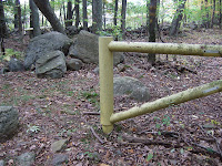 DSCF0791.JPG