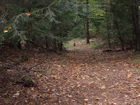 DSCF0792.JPG (Mashapaug, Connecticut, United States) Photo