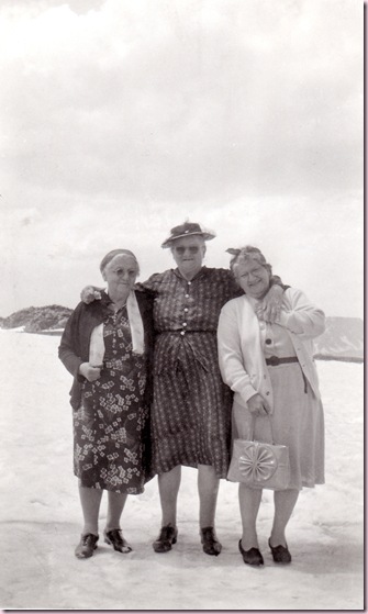 fulvia eli laura