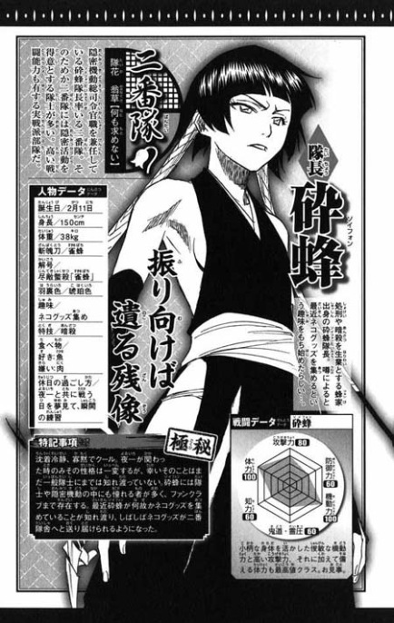 bleach2