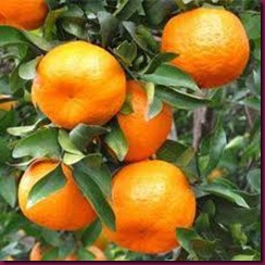 imagesCA1ZRFKJ imagesCA1ZRFKJ