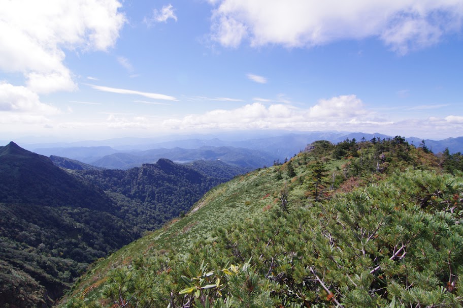 武尊山森林限界付近