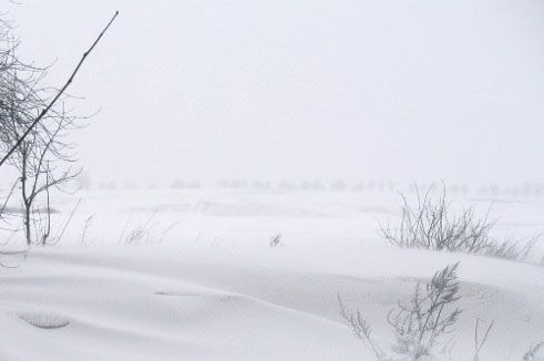 schneelandschaft