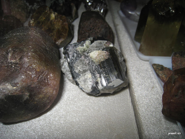 tuocmalin