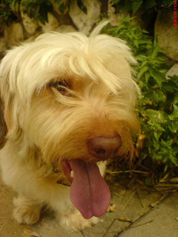 DSC00134.JPG
