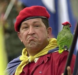 [hugo_chavez_parrot[3].jpg]
