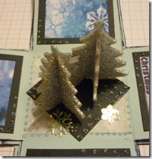 Sue's box 2
