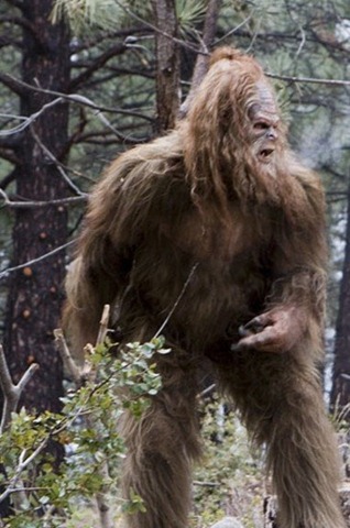 [MessinWithSasquatch_2full5.jpg]