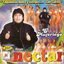nectar