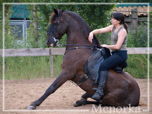 Luk, PRMe, le cheval de ma vie, son post... P5309144