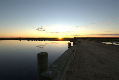 DSC_0032.jpg