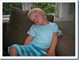 födelsedag 037