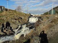 DSC02733.JPG Photo