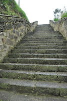 DSC_0015.JPG Photo