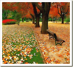 jardim no outono