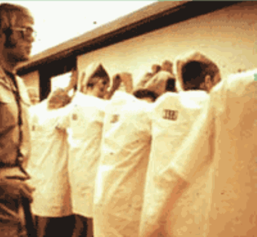[experiência de Zimbardo[4].gif]