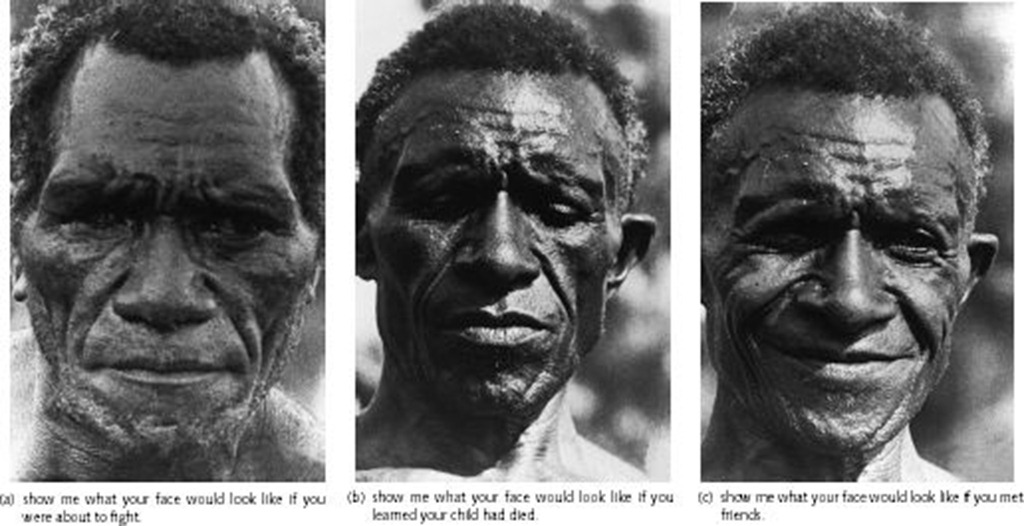 [Ekman estudo facial-expression homem da nova guiné[7].jpg]