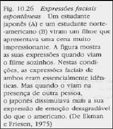 estudo de Ekman