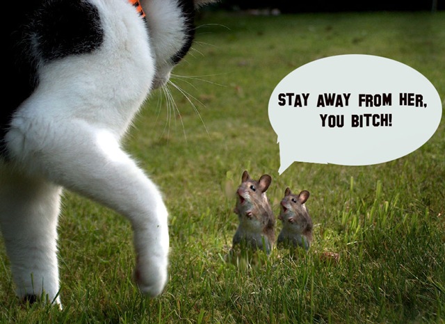 [u6E7CnCJlkrV[3].jpg]