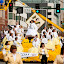 100410_daffodil-parade_111.jpg