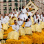 100410_daffodil-parade_125.jpg