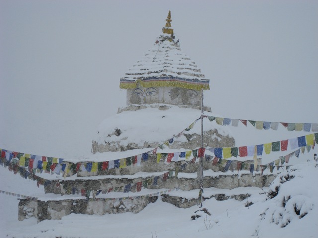 [IMG_55793.jpg]
