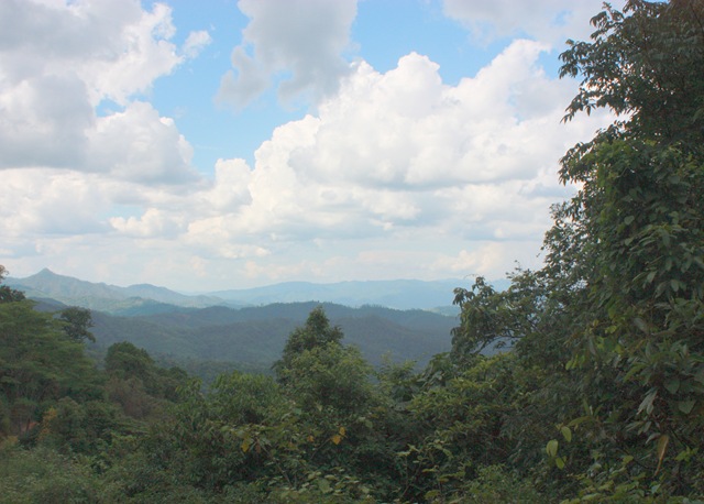 [IMG_34123.jpg]
