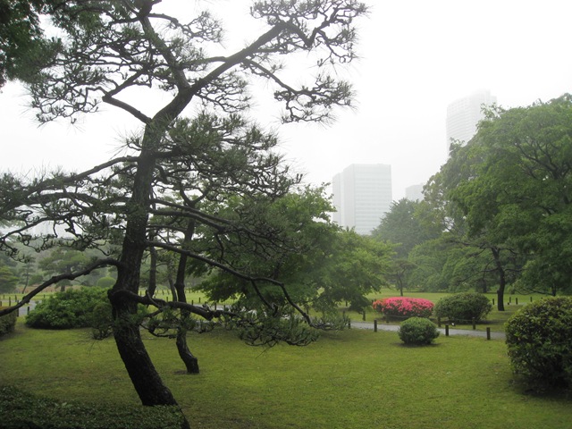 [IMG_59593.jpg]