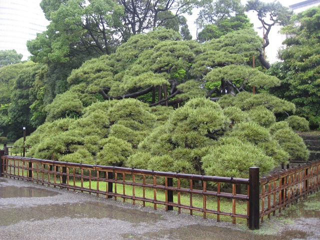 [IMG_59633.jpg]