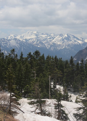 [IMG_42053.jpg]
