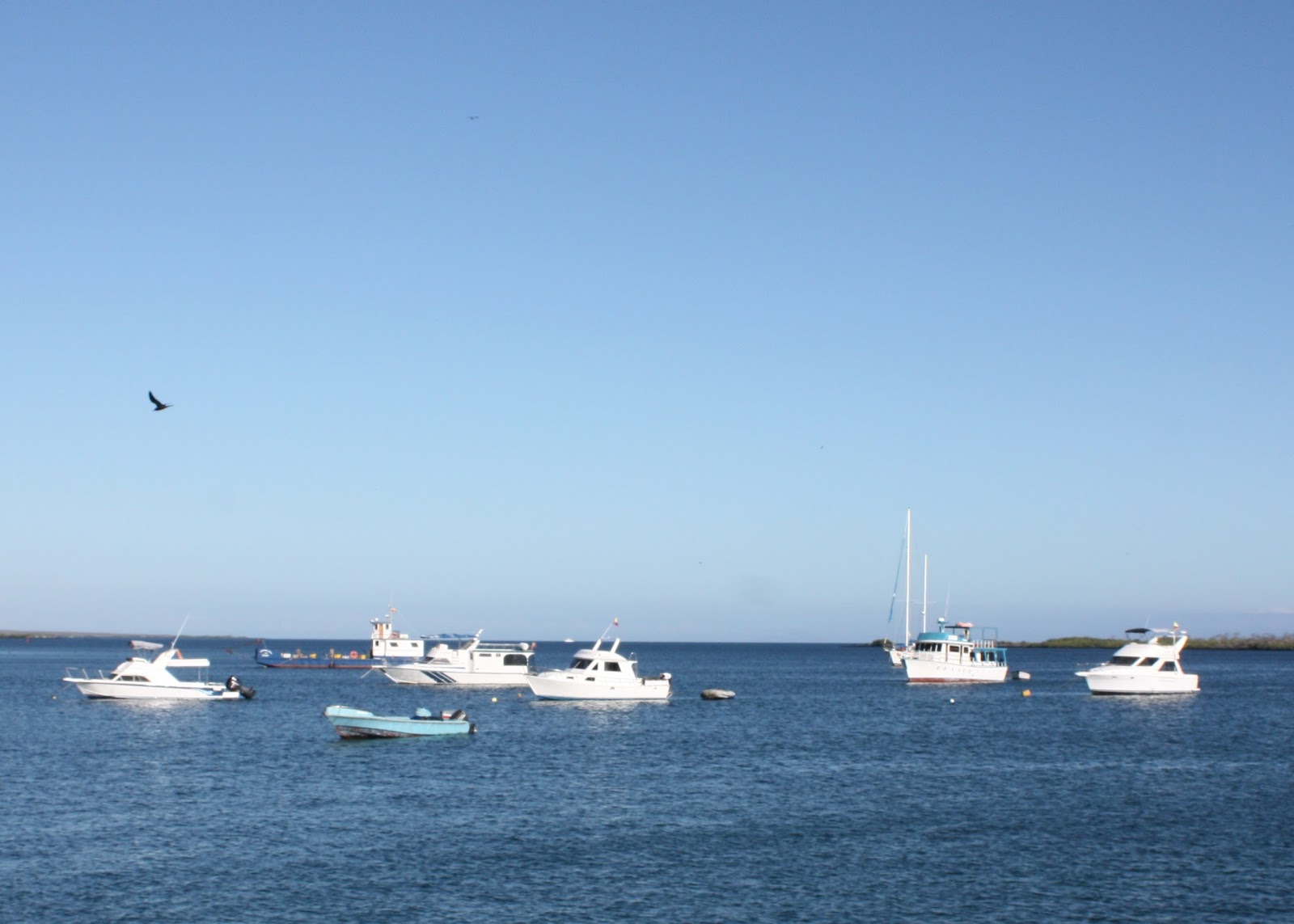 [IMG_48092.jpg]
